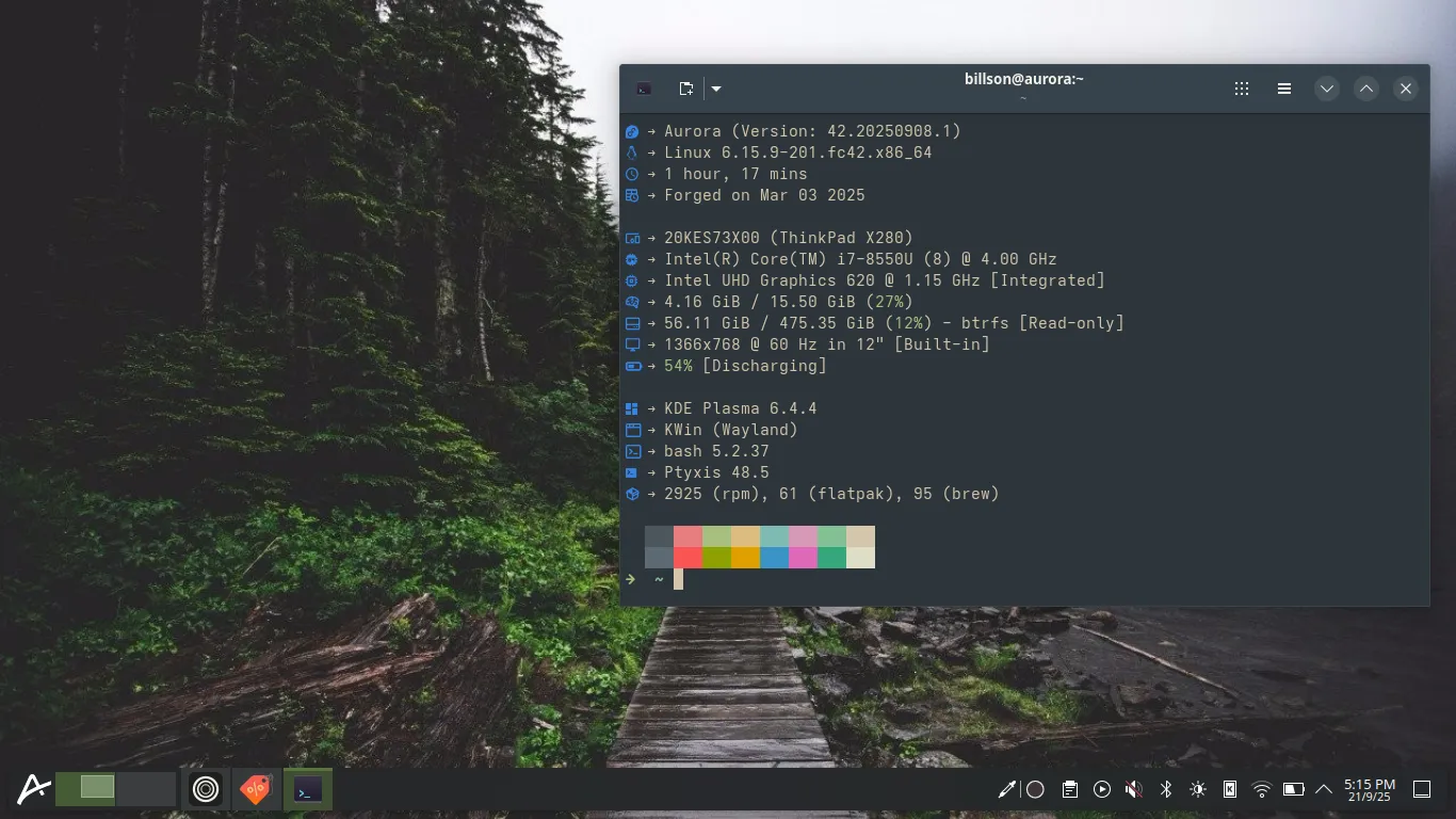Terminal screenshot showing neofetch